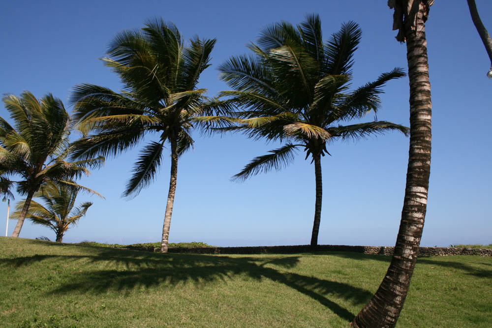 way to the beach