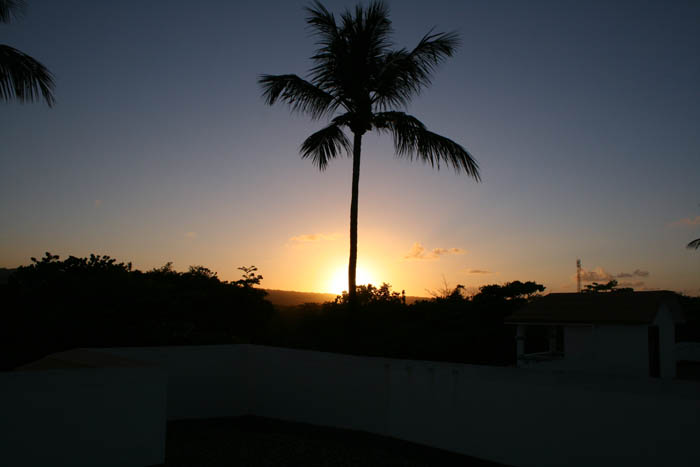 view from the roof